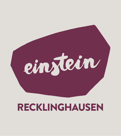 Logo einstein Klettern in der Boulderhalle Recklinghausen