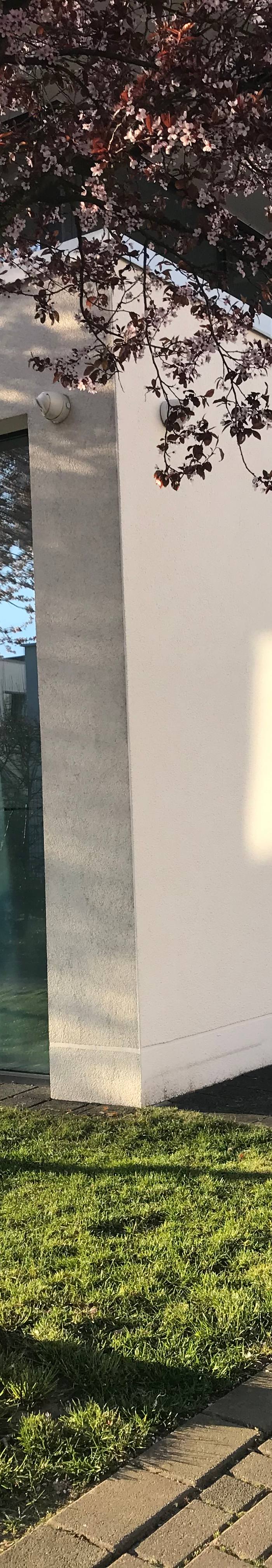 Viabeauty — Foto 6